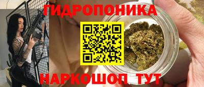 бошки Будённовск
