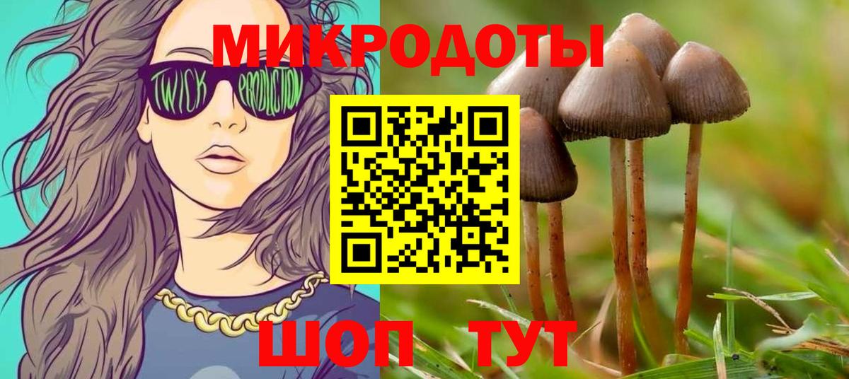 Псилоцибиновые грибы прущие грибы Ржев